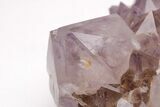 Cactus Quartz (Amethyst) Crystal Cluster - Huge Crystals! #206120-5